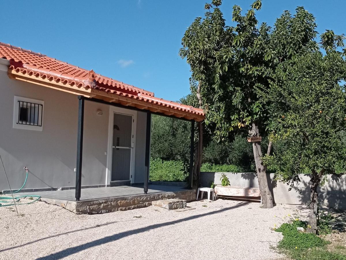 Вилла Avocado House Финикунда Экстерьер фото