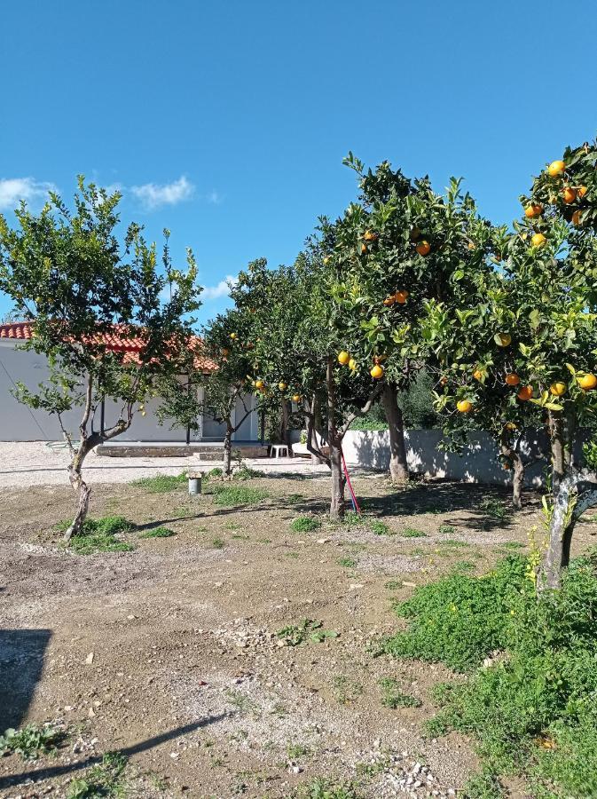 Вилла Avocado House Финикунда Экстерьер фото