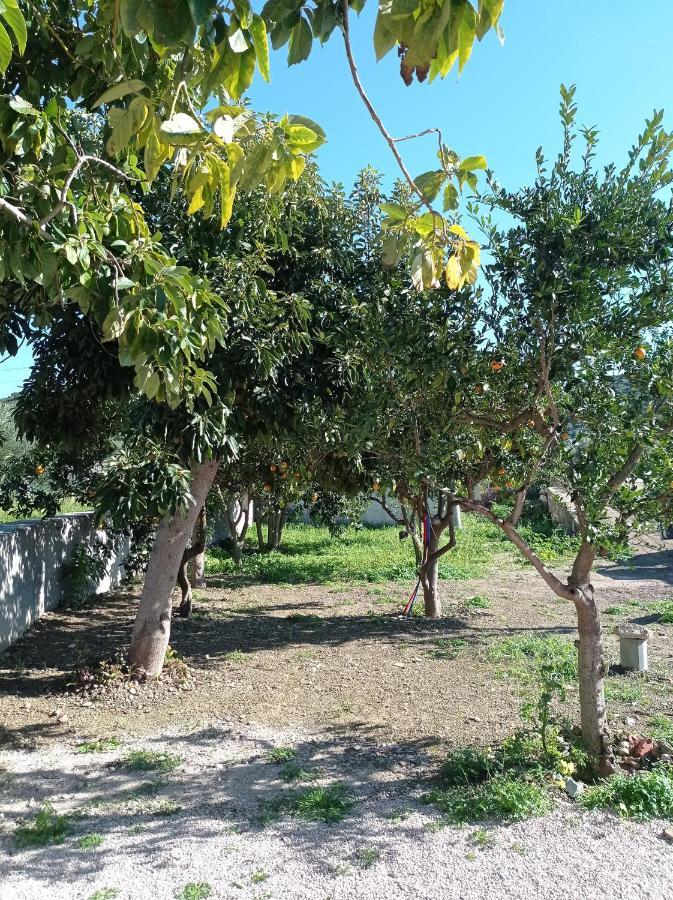 Вилла Avocado House Финикунда Экстерьер фото